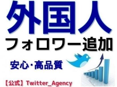 【公式】ツイッター外国人フォロワー3000追加　【振分】 twitter