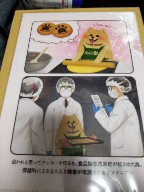 ポメラニアンのコロちゃん クリアファイル コロちゃんカフェ限定 １ タキオちゃん 印刷物 売買されたオークション情報 Yahooの商品情報をアーカイブ公開 オークファン Aucfan Com