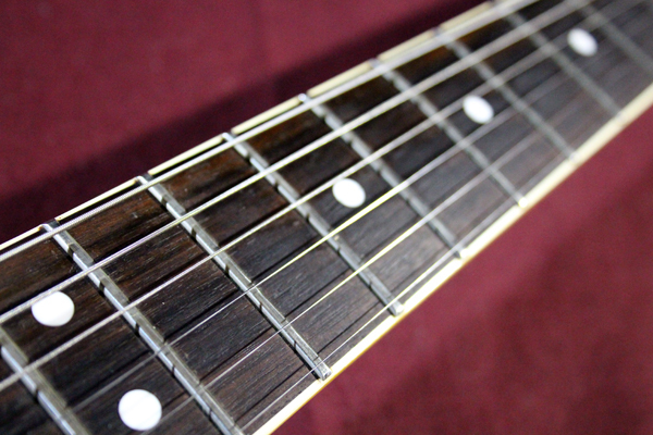 Fernandes】TE-95HT 白（H-BL）布袋寅泰モデル 初期型 白文字F.G.I.