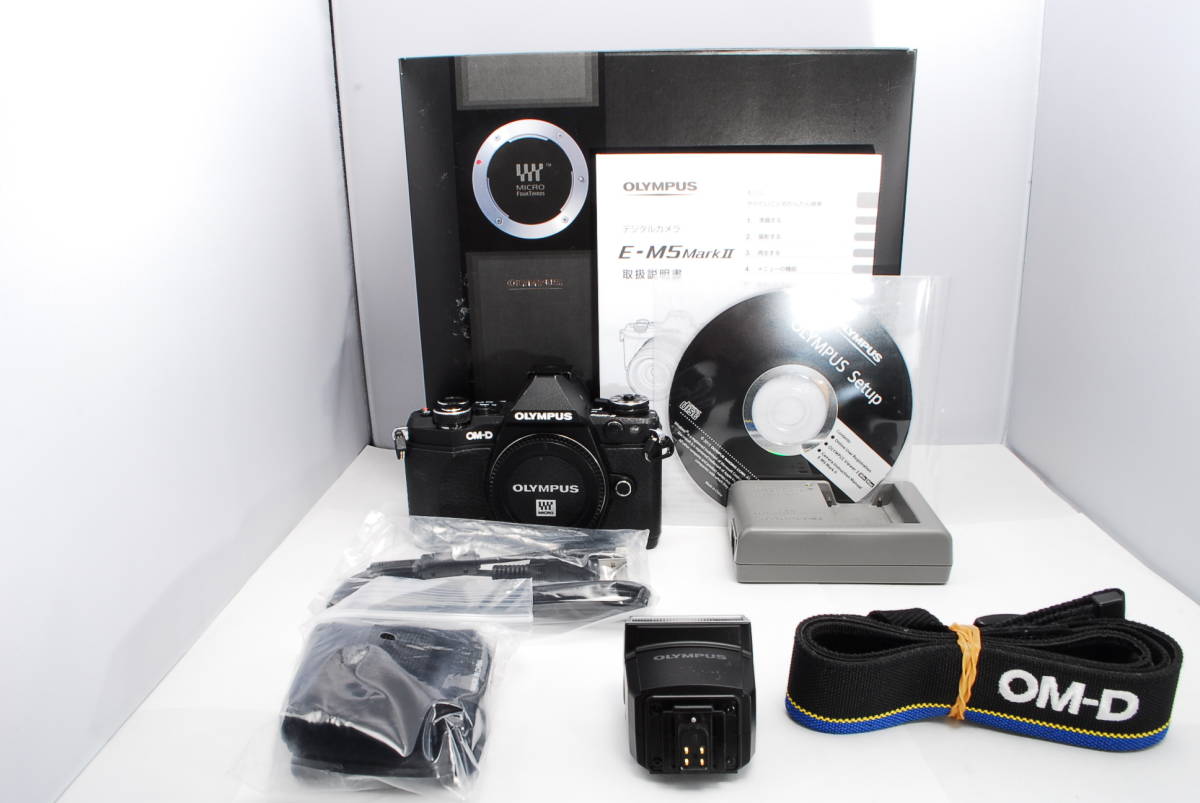 〓外観綺麗〓OLYMPUS オリンパス OM-D E-M5 MarkII 元箱 付属品完備