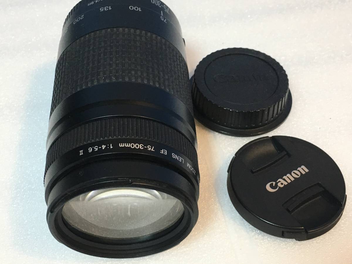 キャノンEOSkissX6iで使っていた75～300mmズームレンズ中古