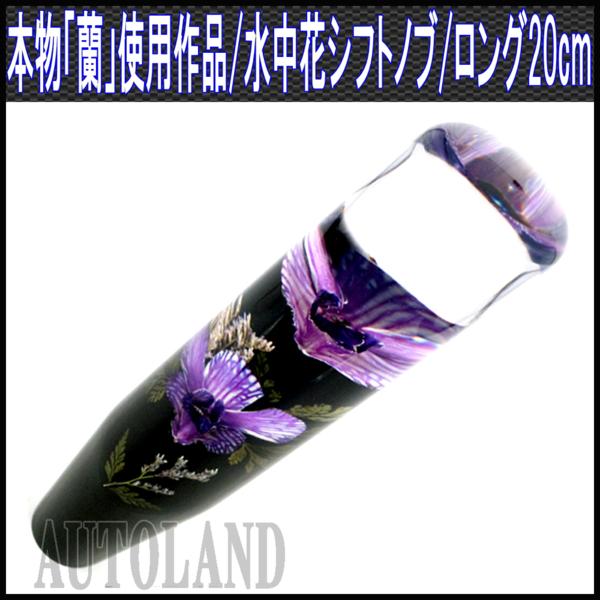 水中花シフトノブ/本物蘭/生花作品/20cmロング/紫 【送料500円】