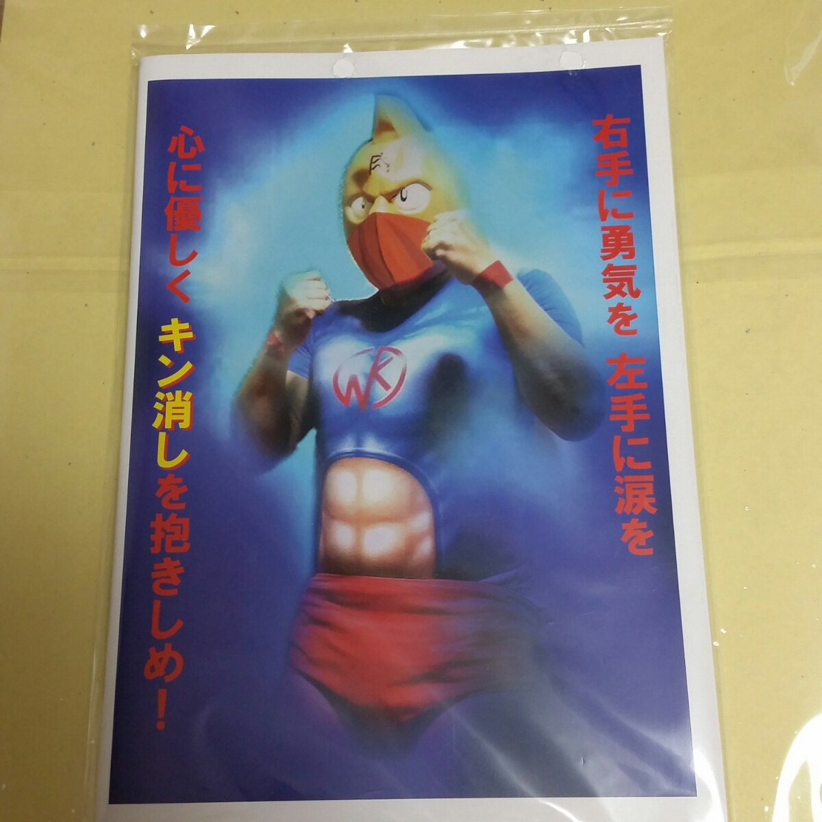 ☆キン肉マン キンケシ 資料本 ぼくらはみんな キン消し チルドレン 