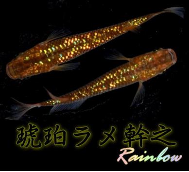 増量 極上 琥珀ラメ幹之 めだかの卵２０個 A 虹色 ラメ レインボー メダカの卵 めだか 卵 めだか 売買されたオークション情報 Yahooの商品情報をアーカイブ公開 オークファン Aucfan Com