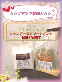 新品 サロン専売 高品質オーガニックシャンプー＆トリートメン 2k×2k計