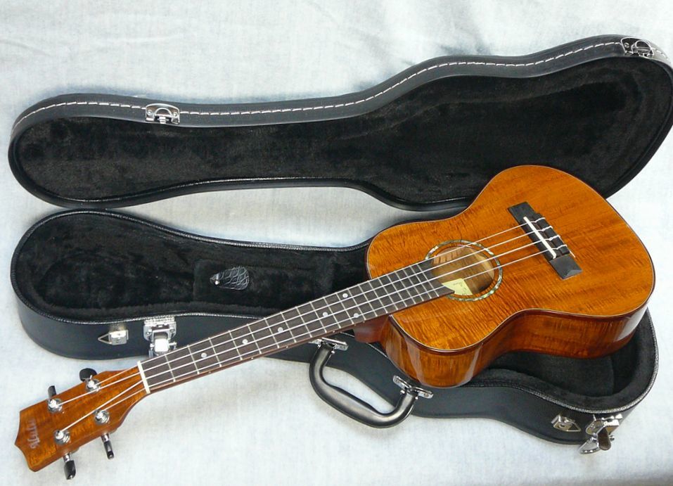 ⑤ Martin＆Co マーティン D-1R ハードケース付 アコースティック