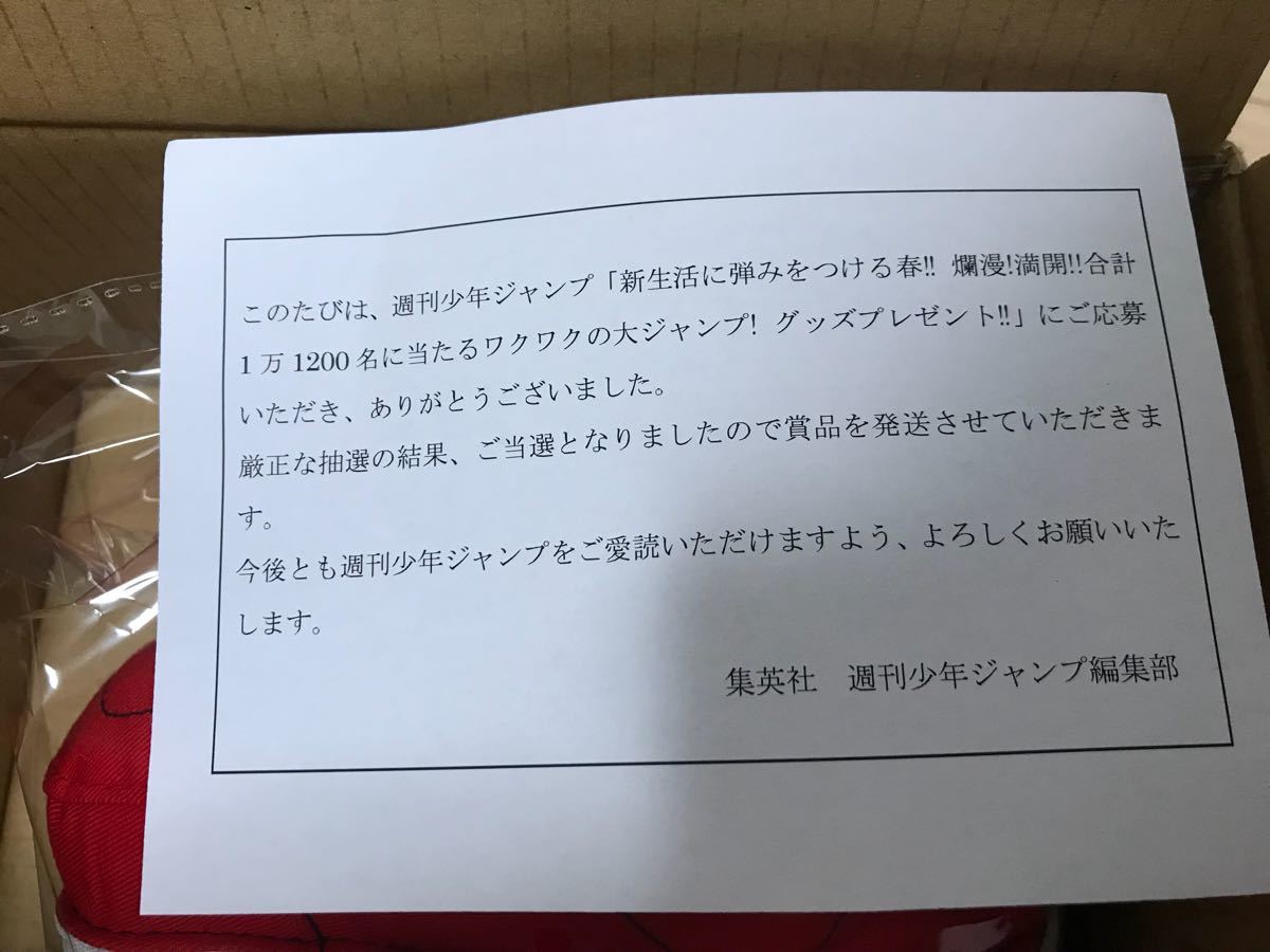 週刊少年ジャンプ 2018春 懸賞 当選 僕のヒーローアカデミア デクの