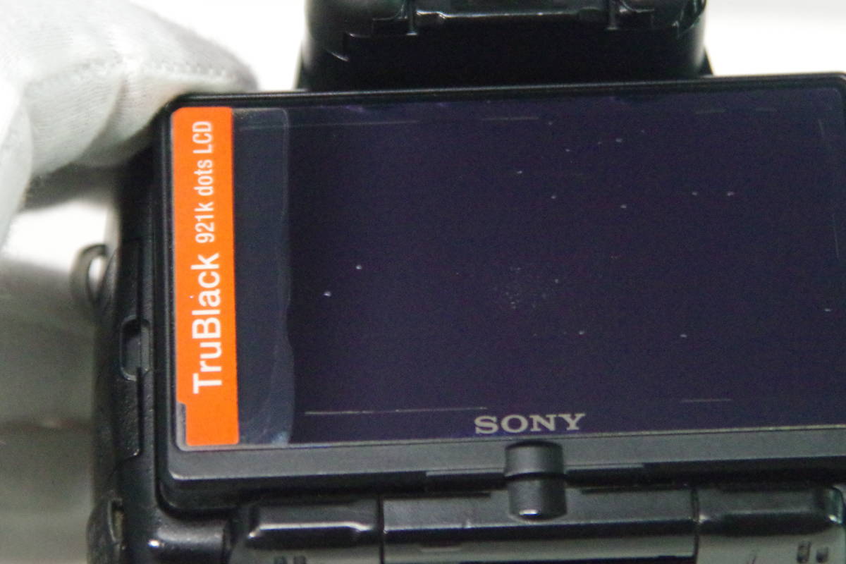 SONY α55 SLT-A55V 動作確認済+28-300mmレンズ他、1式揃って