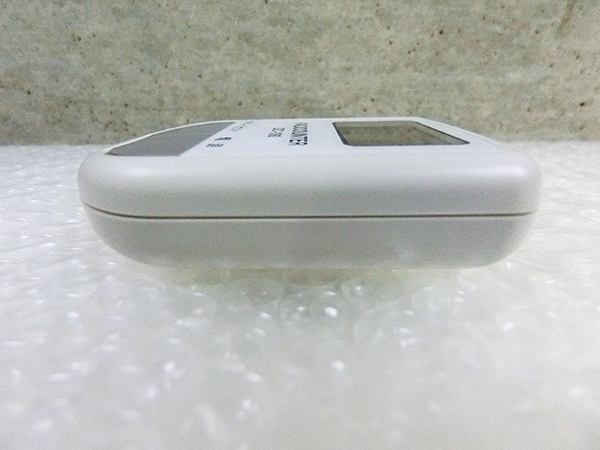 NISSEI 日本精密測器 DC-100 空間線量計 ガイガーカウンター 放射線