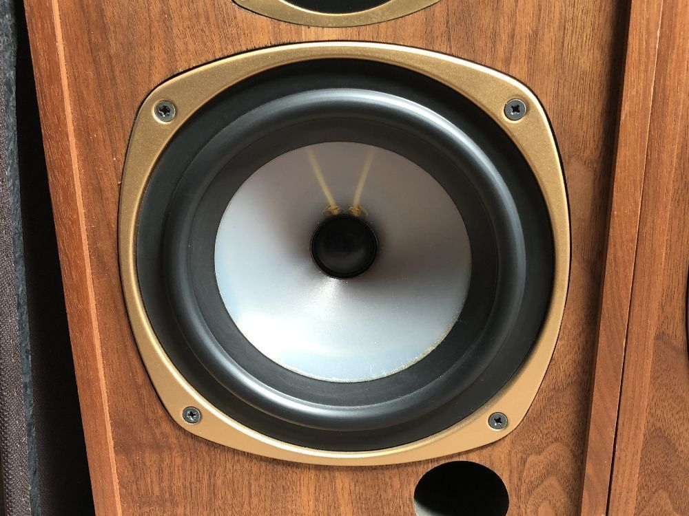 □□ TANNOY / タンノイ Mercury M20 スピーカー □□ 【公式通販】