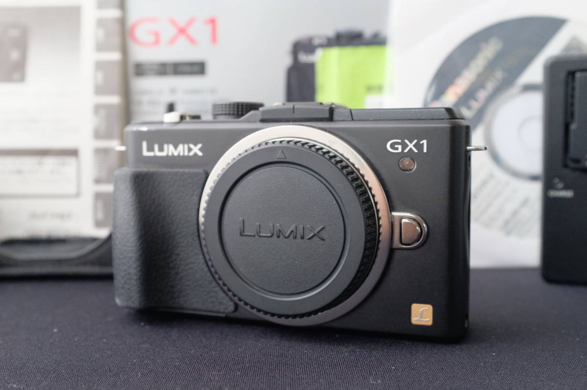 Panasonic LUMIX DMC-GX1 元箱×本革ケースセット！