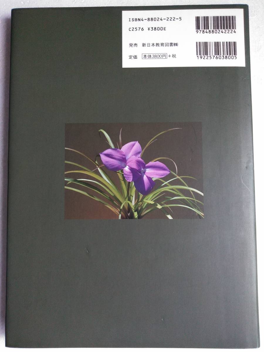 改訂版 □ティランジア・ハンドブック New Tillandsia Handbook 検