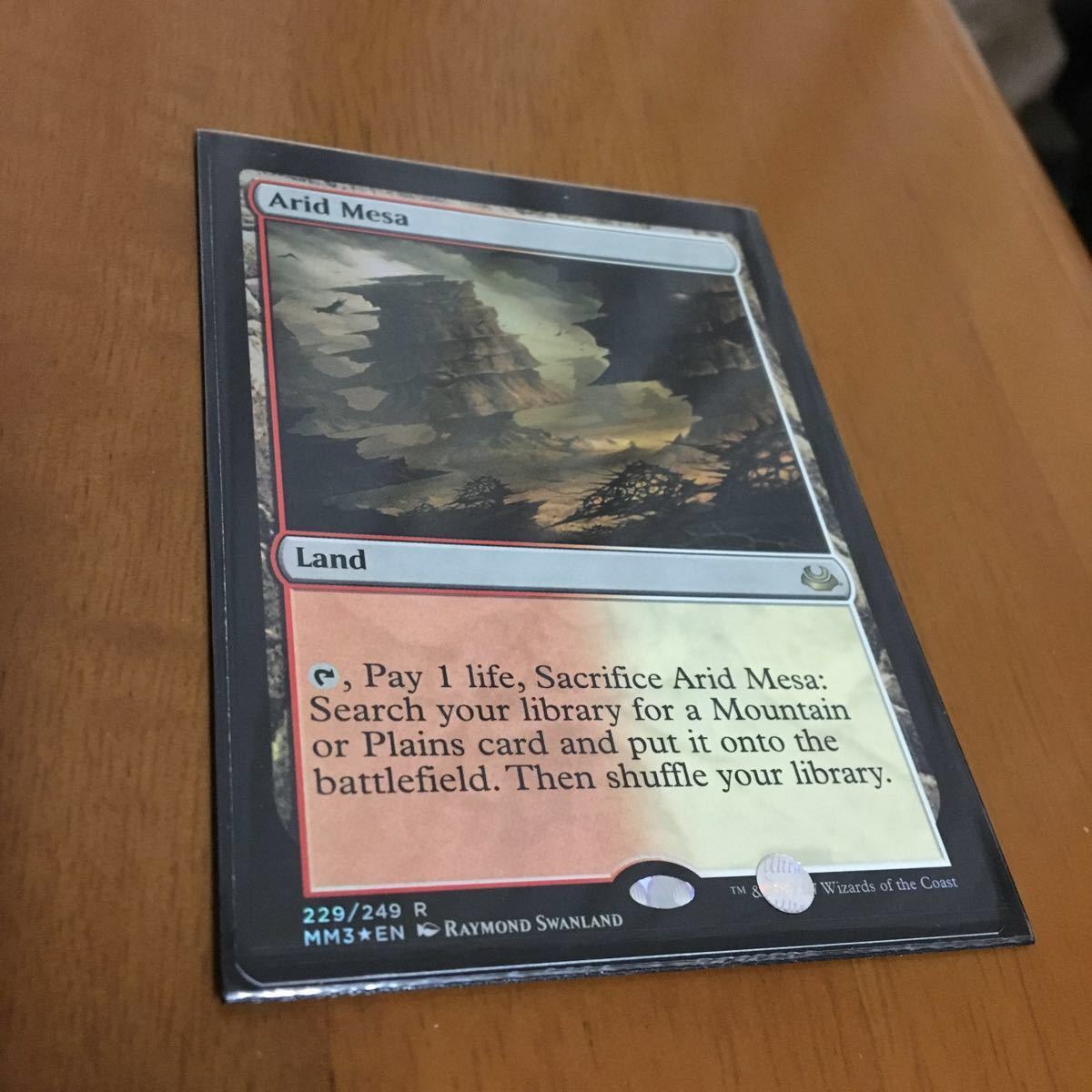 沸騰する小湖 霧深い雨林 乾燥台地 各1枚 英語版 mtg 沸騰