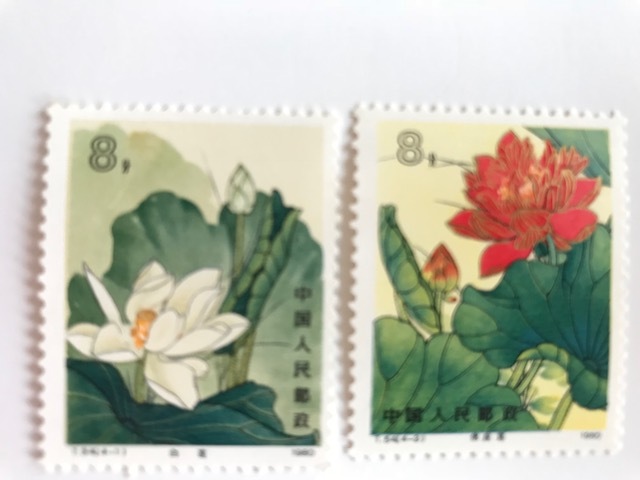低価，安い ◇中国切手◇ 1980年 蓮の花4種