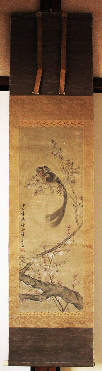 古い掛軸 花〇在銘 花鳥画 紙本 肉筆 落款□日本画 東洋美術 中国掛軸