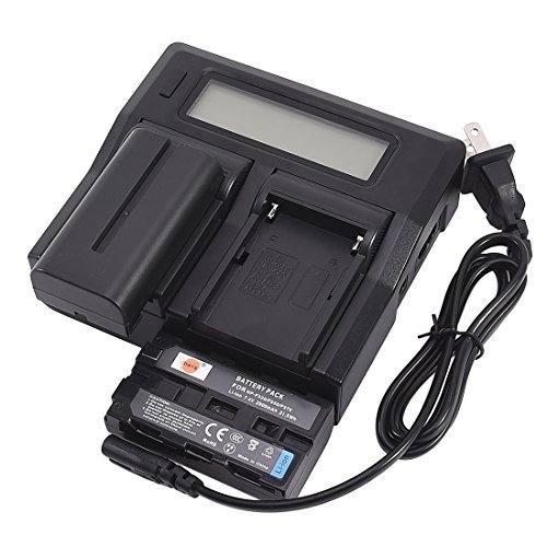 8個入り DSTE 互換バッテリー 2個 + 13W AC アダプター チャージャー セット NP