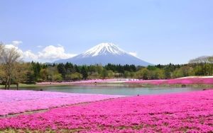 山本 絵画のYahoo!オークション(旧ヤフオク!)の相場・価格を見る
