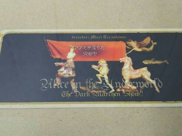 DVD アリスが落ちた穴の中 Dark Marchen Show! ! ART ALBUM＋DVDセット