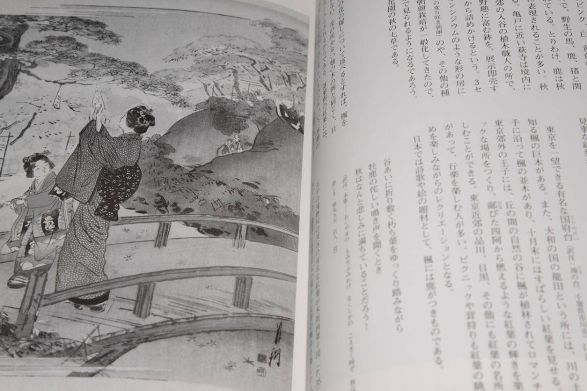 美しい日本のいけばな 美しい日本のいけばな (ジョサイアコンドル