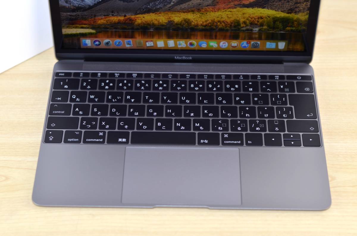 中古〕MacBook MacBook APPLE 1円～売り切り 美品！MacBook (Retina 