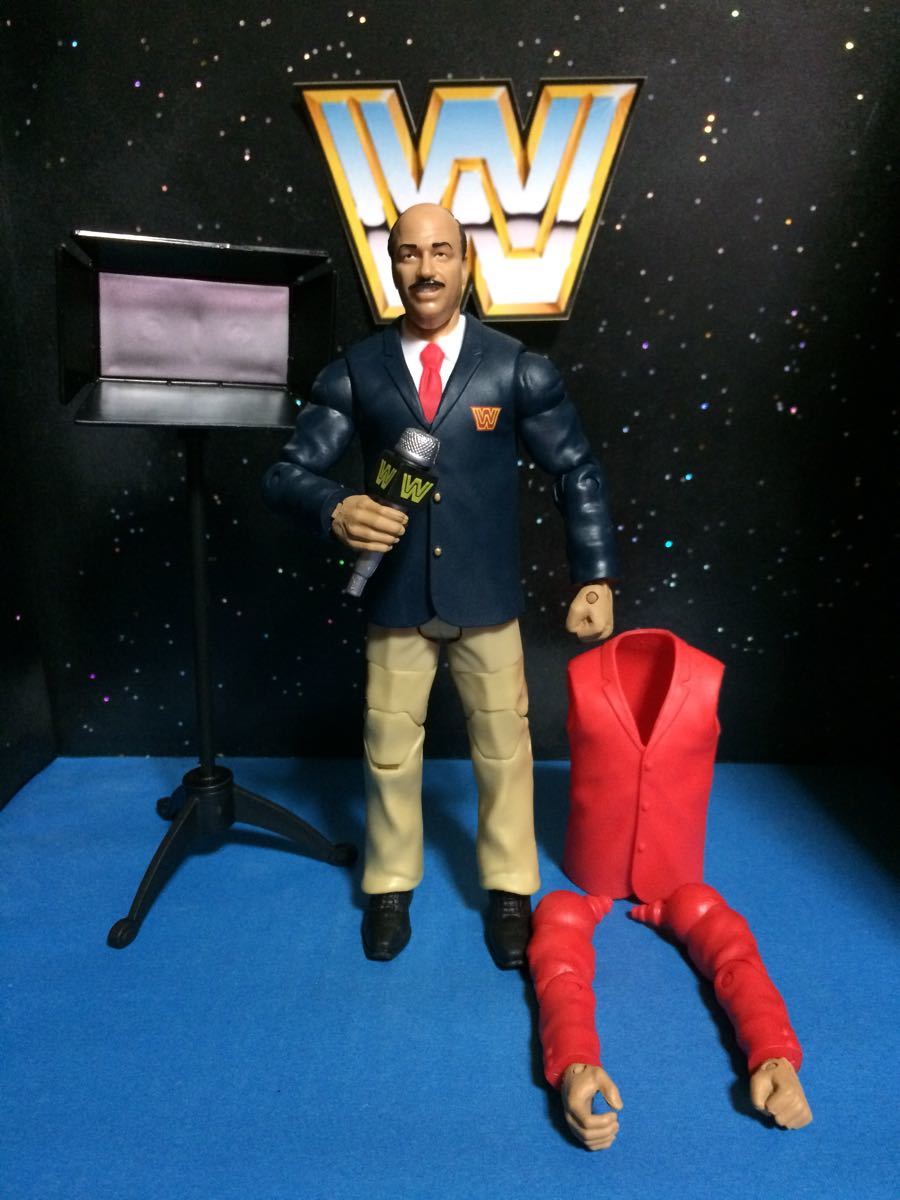WWE WWF WCW プロレス フィギュア マテル フラッシュバック