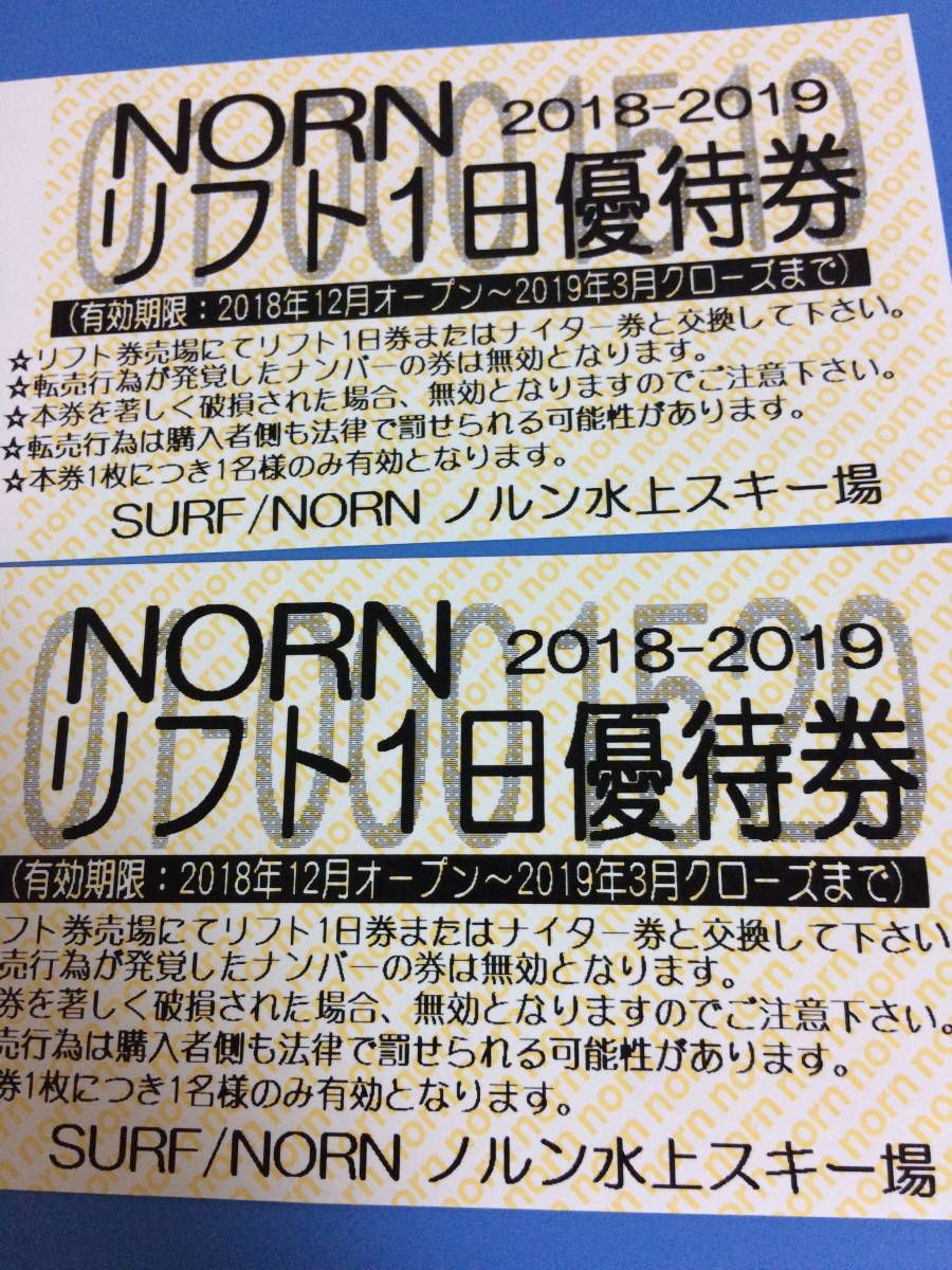 norn リフト1日優待券 2025-2026 ノルンみなかみスキー場リフト1日優待券2枚 高鷲スノーパーク Dynaland