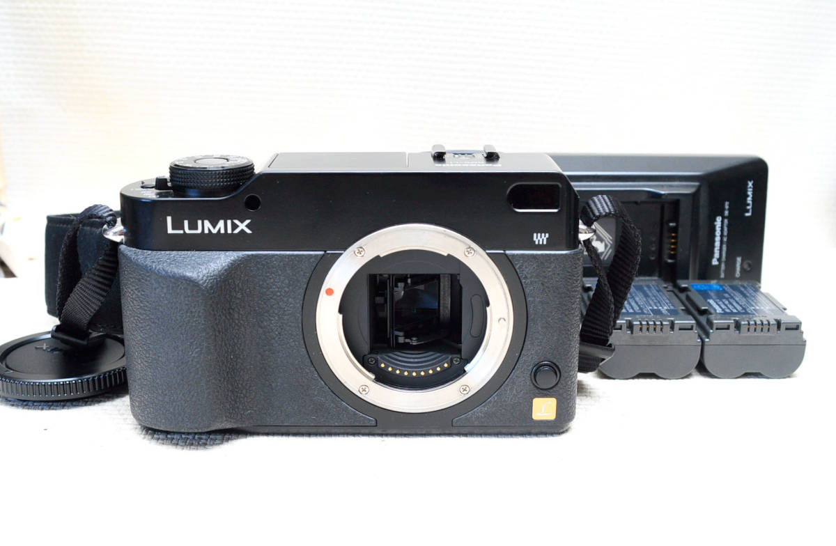 Panasonic LUMIX DMC-L1 ボディ　バッテリー2個 PANASONIC DMC-L1 完動品 電池2本付 【公式通販】