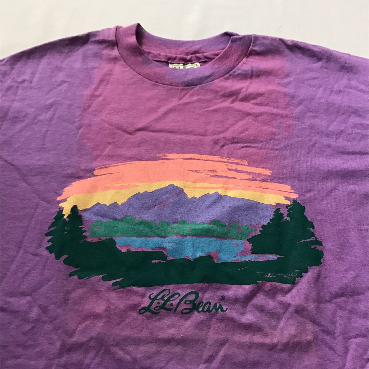 デッドストック? 90s LL Bean ロゴ Tシャツ L パープル USA製 