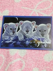 シムシメールのYahoo!オークション(旧ヤフオク!)の相場・価格を見る