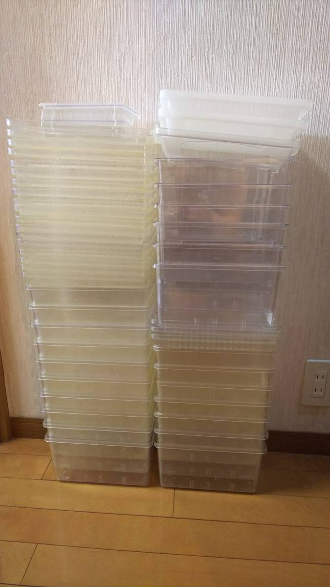 10 | 10個 多機能飼育ケース デジケース 中古20個セット 未使用