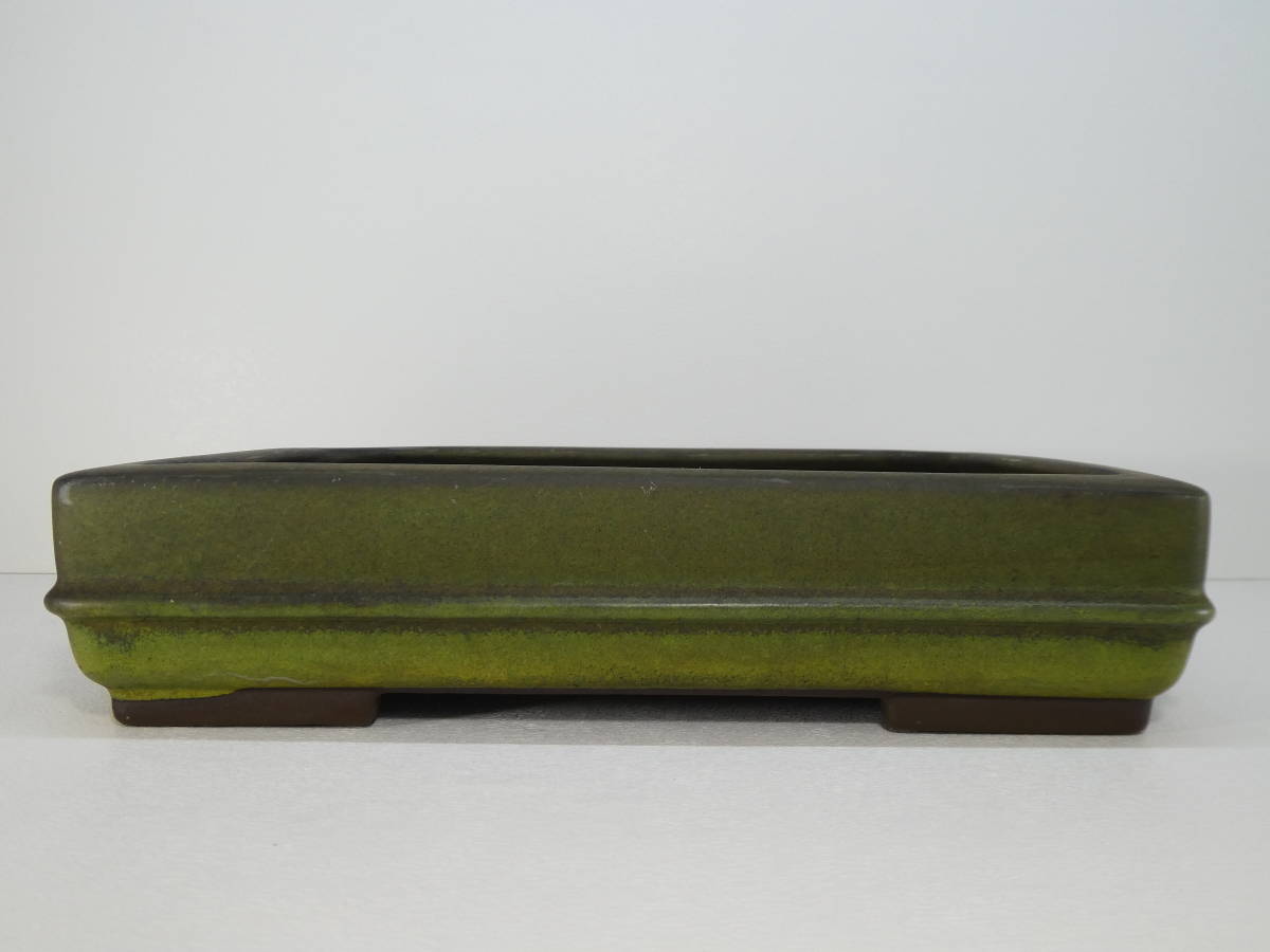 ▽陶翠 蕎麦釉胴帯長方鉢 25×18.7×5.7cm 鉢 盆栽 【公式通販】