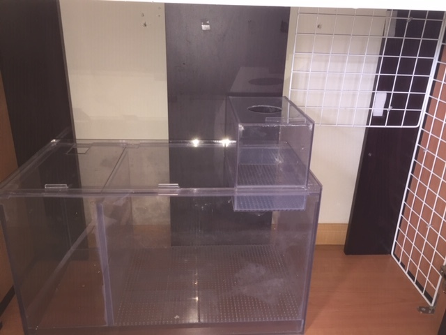 【引取り限定】90cm×30cm×36cm オーバーフロー水槽セット三重管_3