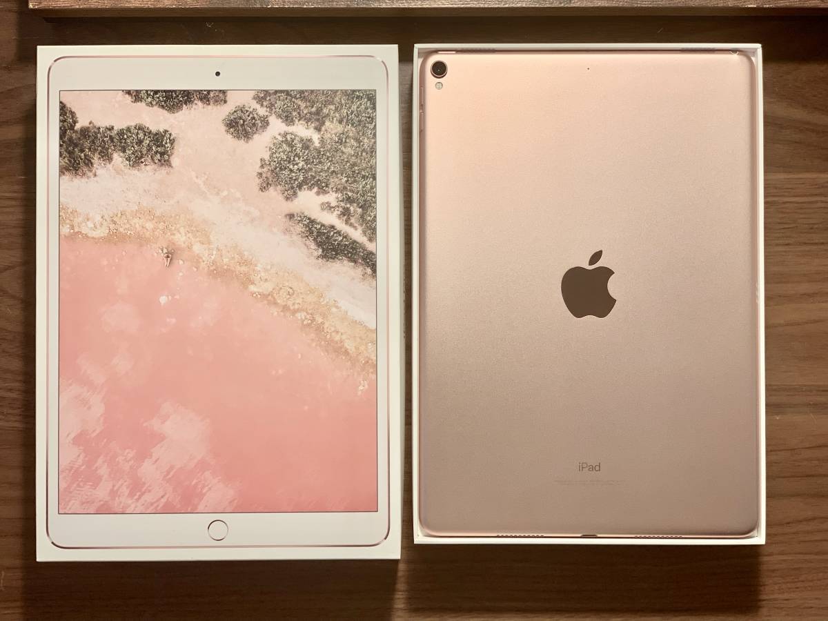 iPad Pro 10.5インチ 64GB 付属品完備 永続版Excel導入済 iPad本体