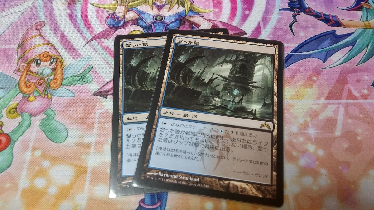 ⁄ MTG | 湿った墓 土地R 日本最大級 Foil《湿った墓