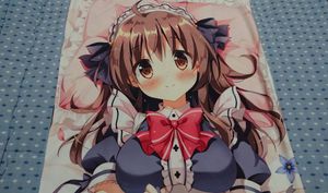 ぱんのみみ 抱き枕カバーのYahoo!オークション(旧ヤフオク!)の相場 