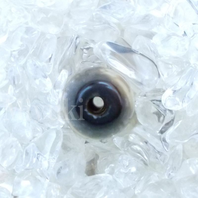 御幸天珠 B04239 緑度母天珠 三眼天珠 39x13mm 如意樹
