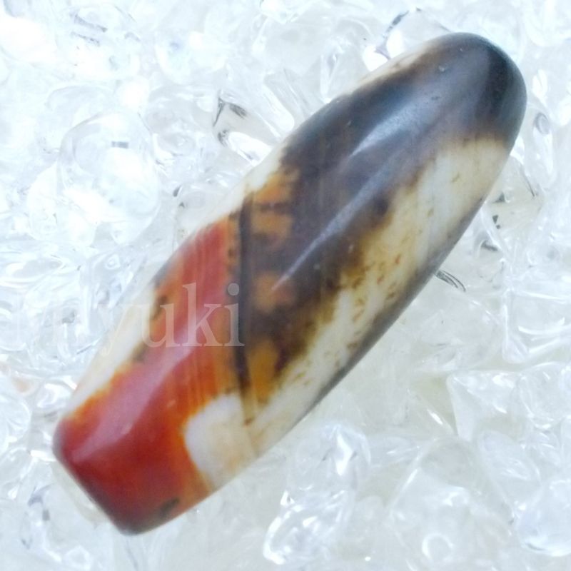 御幸天珠 B04239 緑度母天珠 三眼天珠 39x13mm 如意樹