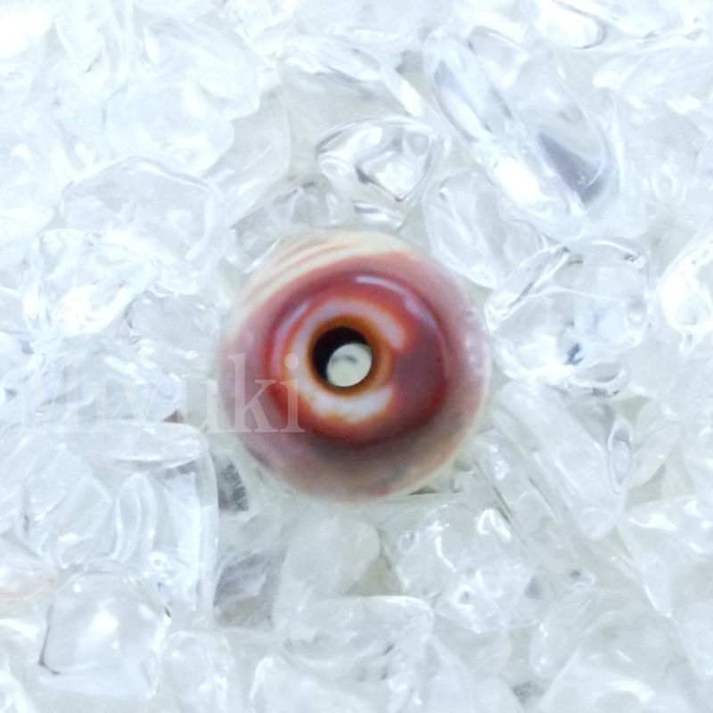 御幸天珠 B04239 緑度母天珠 三眼天珠 39x13mm 如意樹