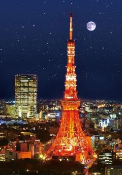 M6 東京タワー 東京 日本の風景 ファブリックパネル インテリアパネル ポスター アートパネル アート用品 売買されたオークション情報 Yahooの商品情報をアーカイブ公開 オークファン Aucfan Com