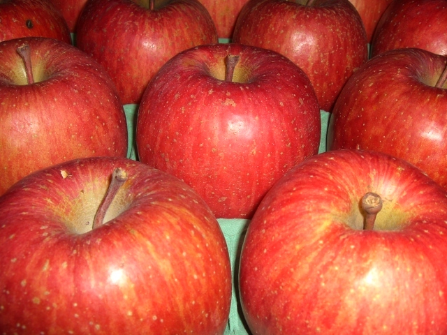  津軽産 サンふじ ご家庭用 ２２玉入り １１キロ(リンゴ)｜売買されたオークション情報、yahooの商品情報をアーカイブ公開 - オークファン リンゴ