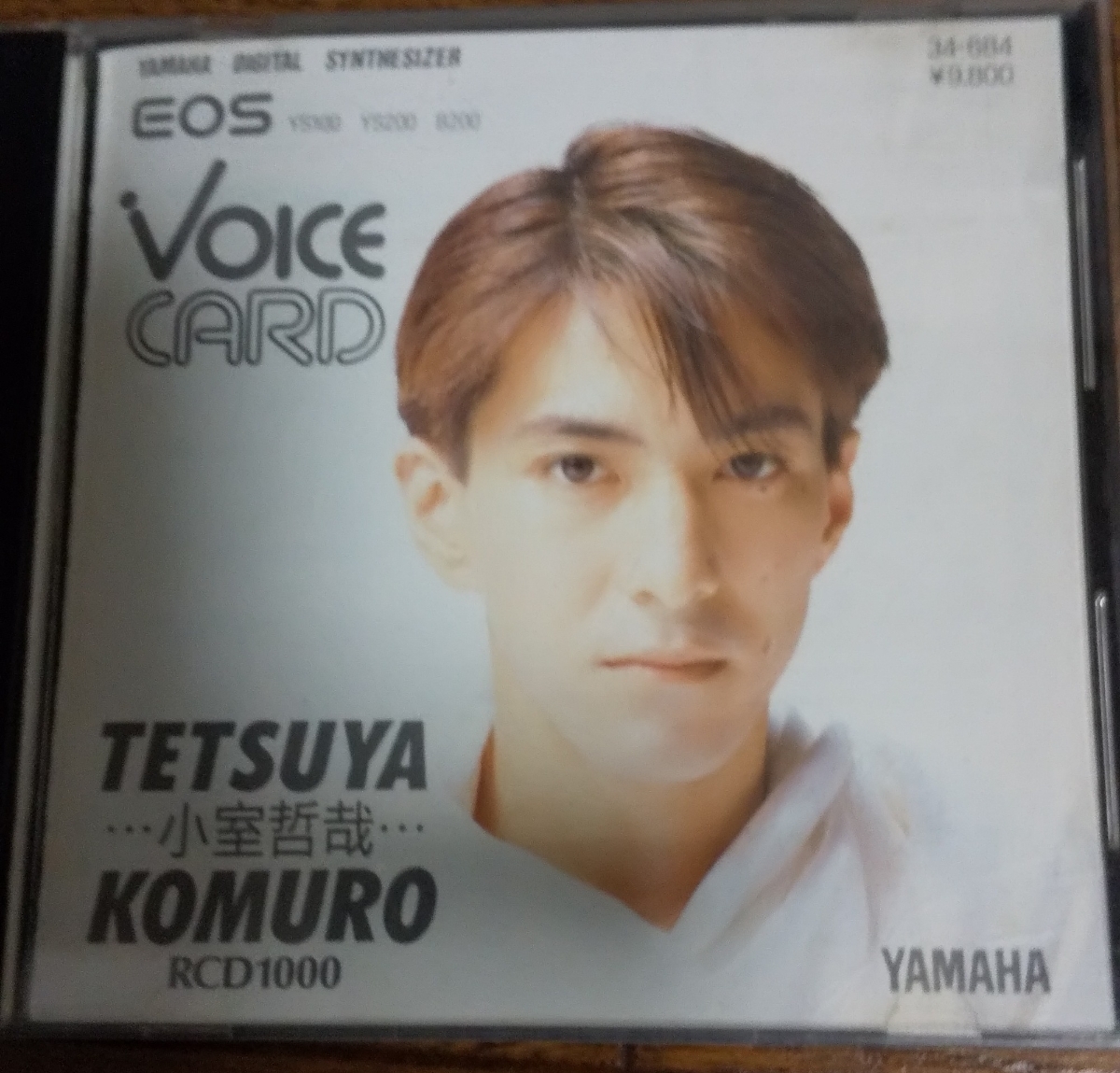 EOS 小室哲哉 YAMAHA RCD3000 ボイスカード VOICECARD TMN VOICE B500