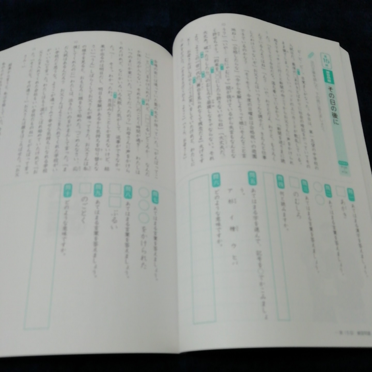 SAPIX コトノハ 国語 問題集 基礎編 発展編2冊セット コトノハ