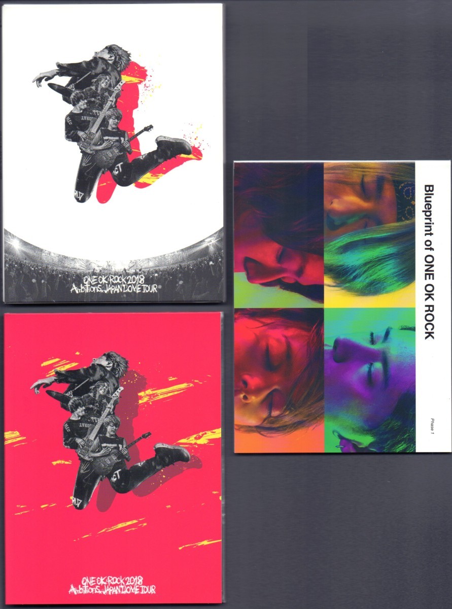 ONE OK ROCK 2018 ライブDVD 2本セット ONE OK ROCK 2018 ライブ DVD 2本セット ワンオク（CD・DVD