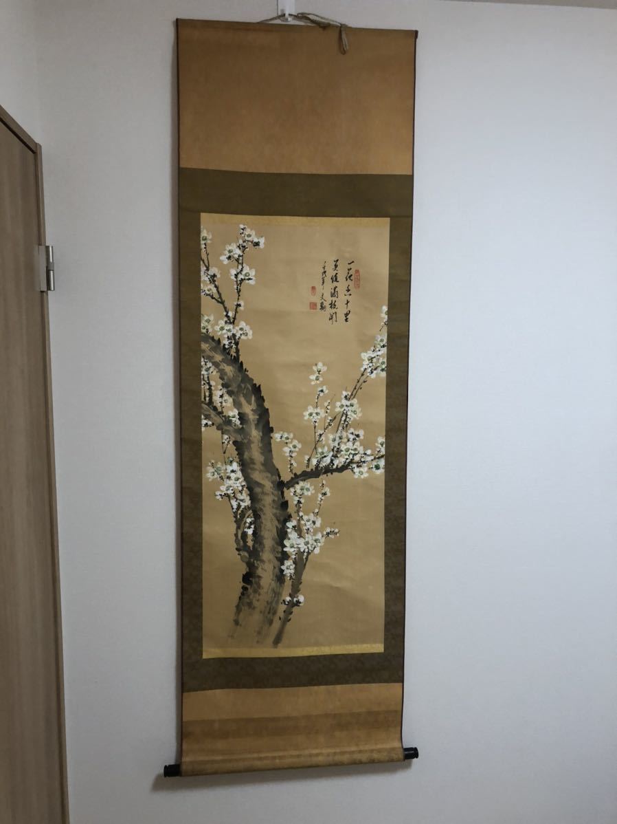 掛軸 掛け軸 開運風水画 床の間 美術国粋 アサヒ 花鳥風月 年中掛け