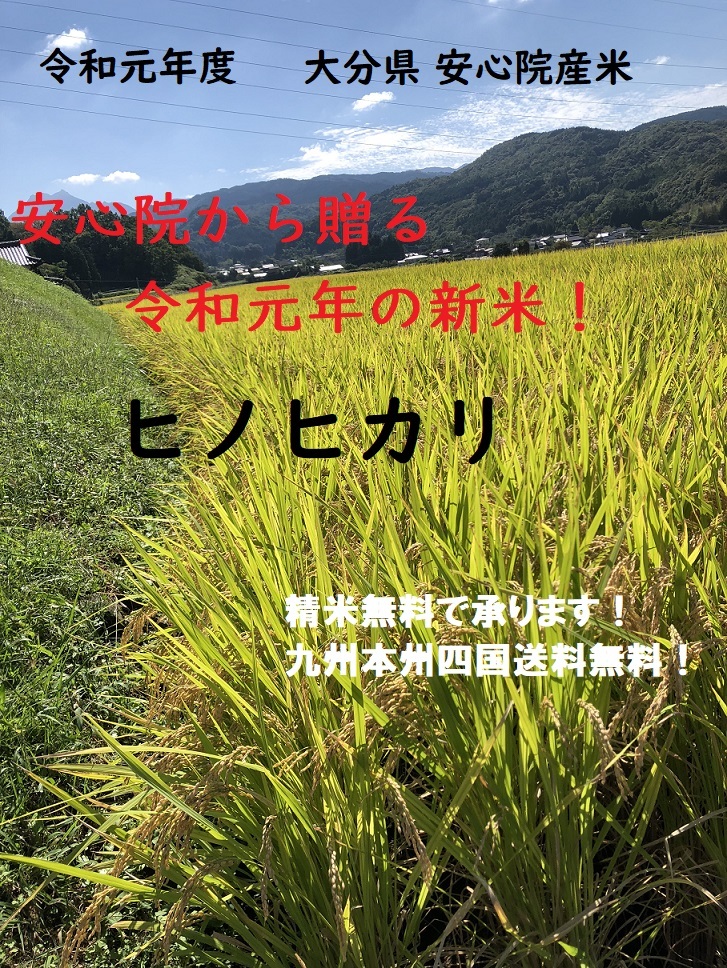 令和元年度新米!☆九州本州送料無料☆大分県安心院産ヒノヒカリ玄米 