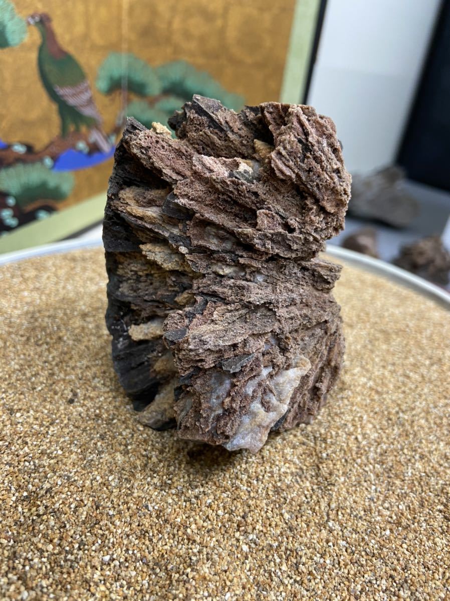鑑賞石 菊花石 水石 盆石 観賞石 天然石 置物 公式通販 岐阜県根尾谷