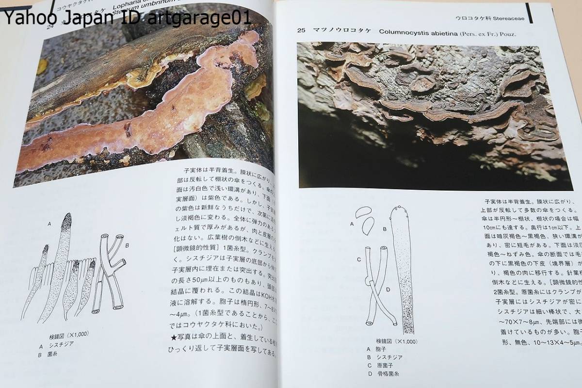猿の腰掛け類きのこ図鑑/サルノコシカケ類のキノコ200種の図鑑・1頁に1