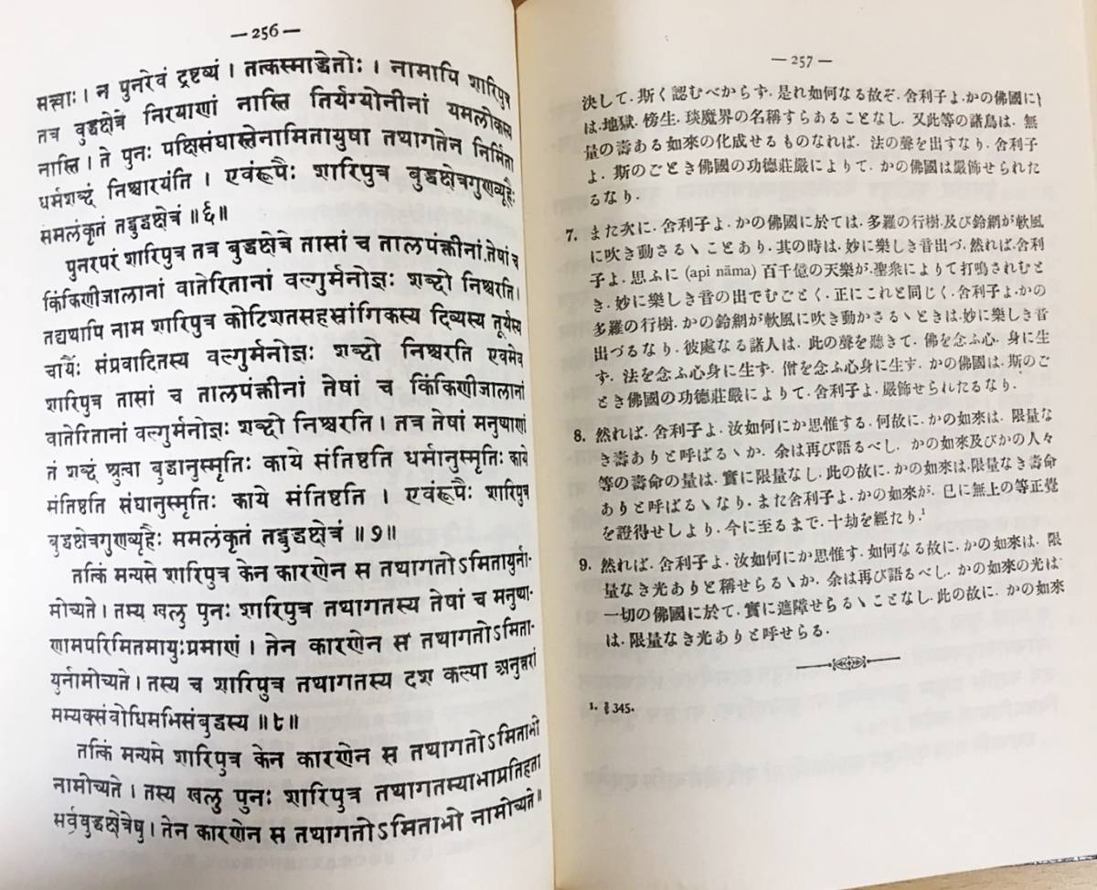 2冊セット 実習梵語学 附字書 荻原雲来=著 明治書院 解説 梵語学 附語彙 正誤表 榊亮三郎=著 種智院大学出版部 サンスクリット(その他 ...