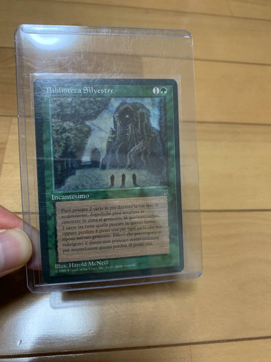 森の知恵 Library Sylvan 森の知恵⁄Sylvan MTG 初版 英語 LEG 英語版