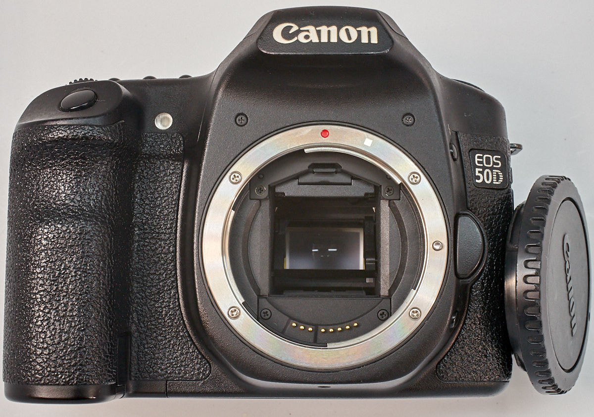 高品質，お得 キヤノン EOS 50D ⑦ 完動/撮影OK バッテリー/充電器 